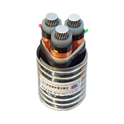 YJLHS、YJLHV22、YJLHV 8.7/15KV 中壓稀土高鐵鋁合金電纜